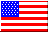 vlag US